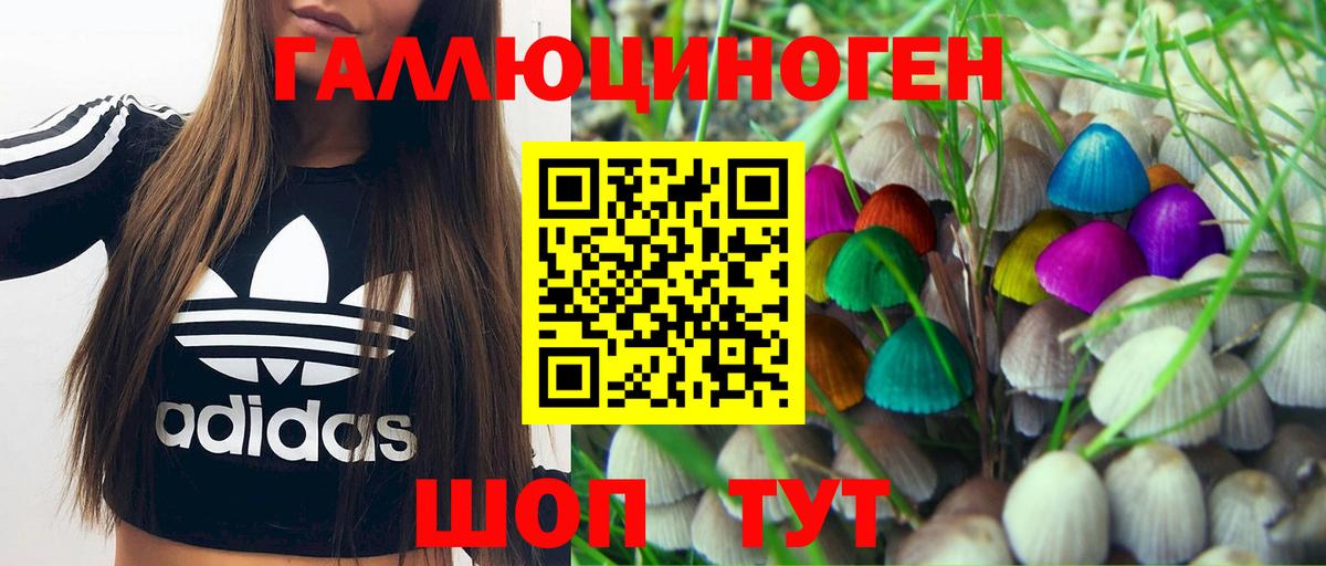 Галлюциногенные грибы Psilocybine cubensis Елабуга