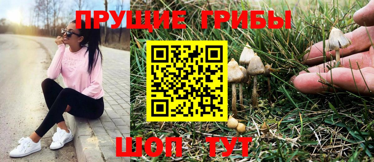 Елабуга  Псилоцибиновые грибы Magic Shrooms  как найти закладки  Галлюциногенные грибы GOLDEN TEACHER  Вход с VPN 